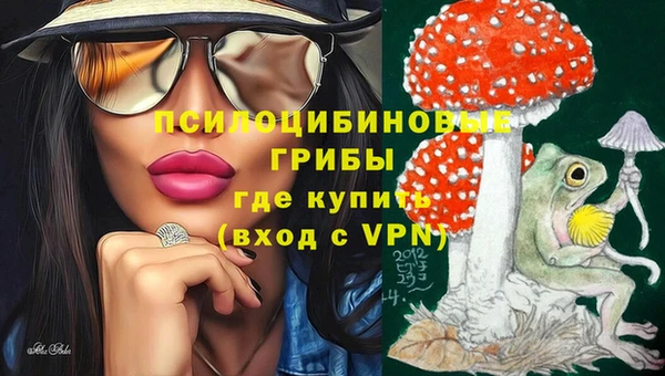 прущий лед Армянск