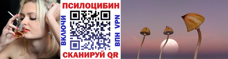 Галлюциногенные грибы Cubensis  Тимашёвск 
