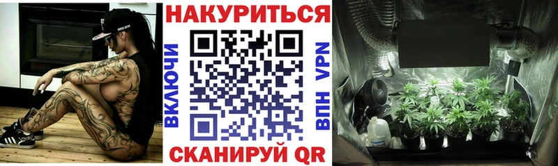 дарнет шоп  Тимашёвск  Конопля Amnesia 